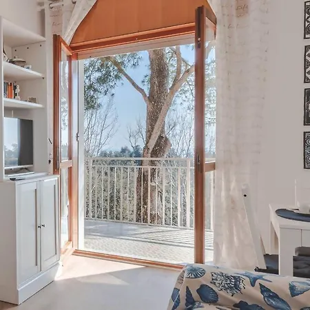 Eltufeto Grado-Pineta